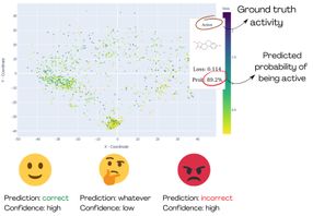 A "molecular" compass shows the way to reducing animal testing