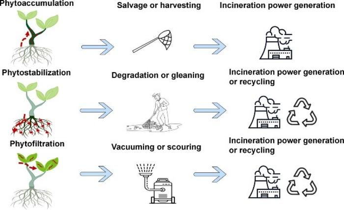 Eco-Environment & Health