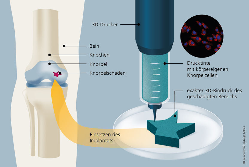 © Fraunhofer IAP / Jadwiga Galties