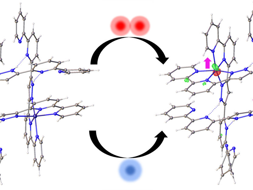 Quantum communicator molecule shows further promise - A light sensitive metal-containing organic molecule responds to infrared light – pointing towards practical use in quantum technologies