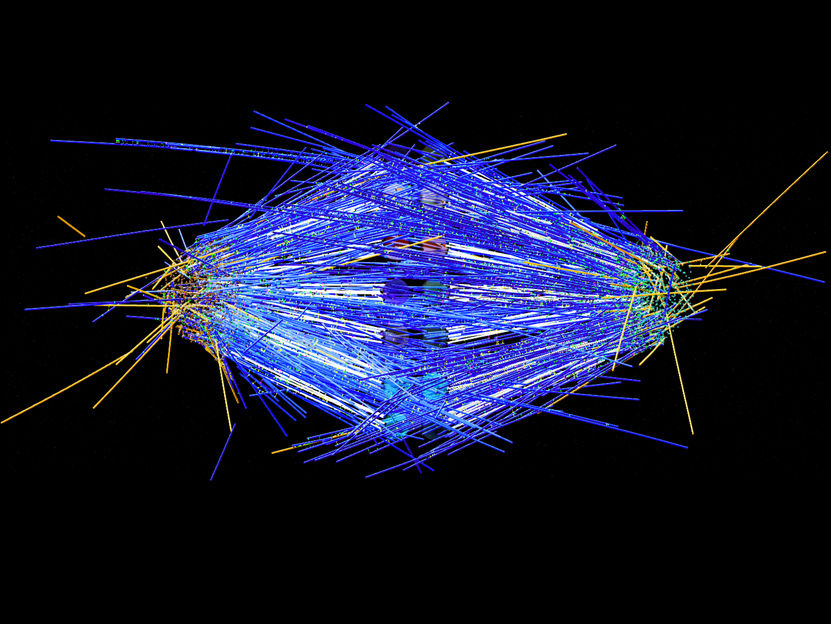 Computer simulation of the plant spindle opens up new possibilities in cell division research - "We were surprised ourselves at how well our simulation reproduced our experimental data"
