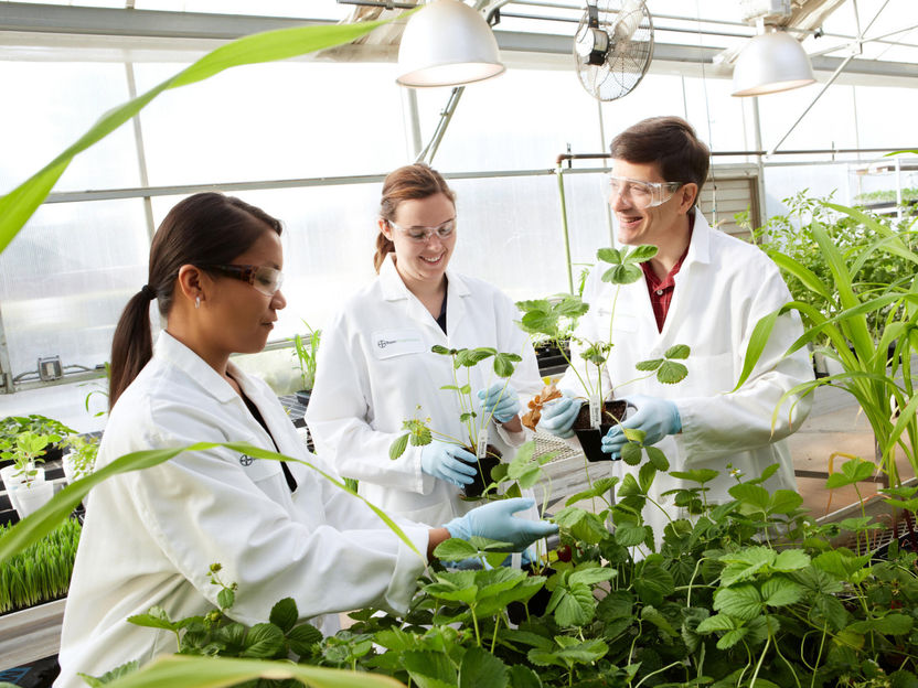 Bayer confie un incubateur à Genvor - Des ressources essentielles aideront Genvor à développer et à étendre ses produits biologiques de protection des cultures et ses technologies innovantes en matière de caractères