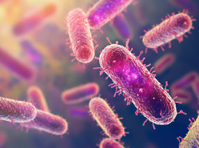 Recyclage du dioxyde de carbone excédentaire grâce à de minuscules microbes