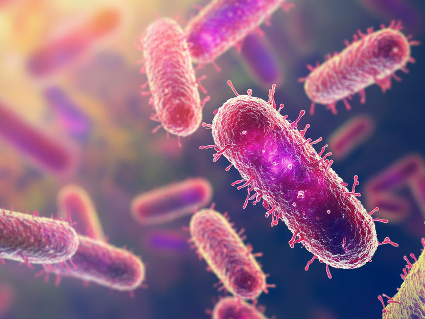Upcycling von überschüssigem Kohlendioxid mit winzigen Mikroben - Wissenschaftler haben Mikroben speziell dazu gebracht, Kohlendioxid in Chemikalien umzuwandeln, die potenzielle Bausteine für Arzneimittel sind