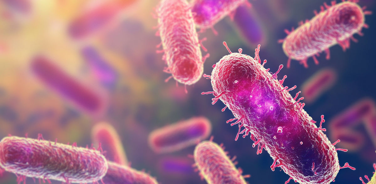 Recyclage du dioxyde de carbone excédentaire grâce à de minuscules microbes