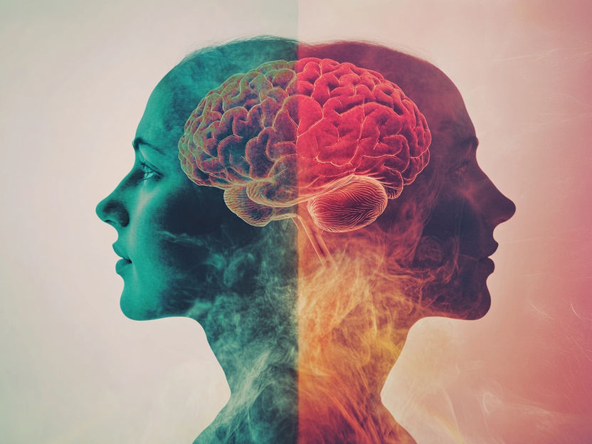 A risk gene for bipolar disorder - Mice with a genetic mutation, which can also occur in humans, behave manically