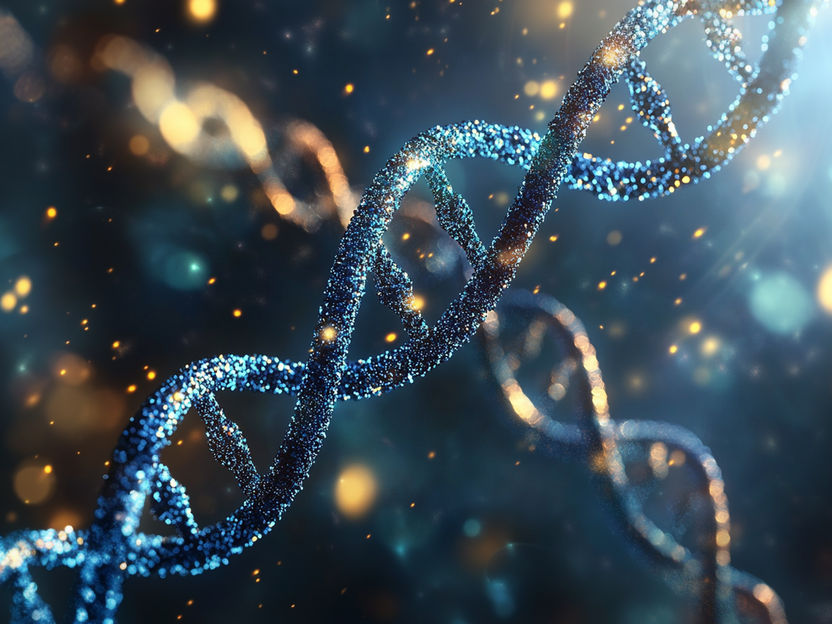 How gene regulation changes over a lifetime - Scientists have discovered that coordination between basic cellular processes is lost with increasing age