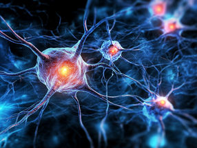 Epigenetic changes reprogram astrocytes into brain stem cells