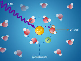 Une nouvelle étude met en lumière le monde caché des coques de solvatation