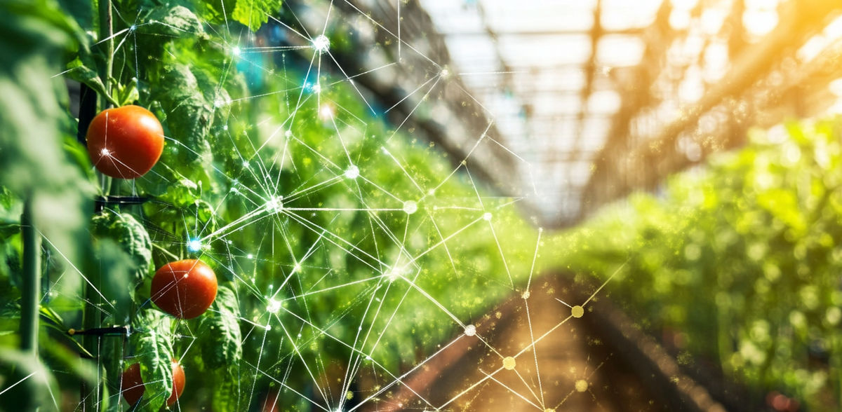 AI can slash indoor farming energy use