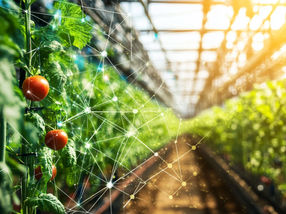 AI can slash indoor farming energy use