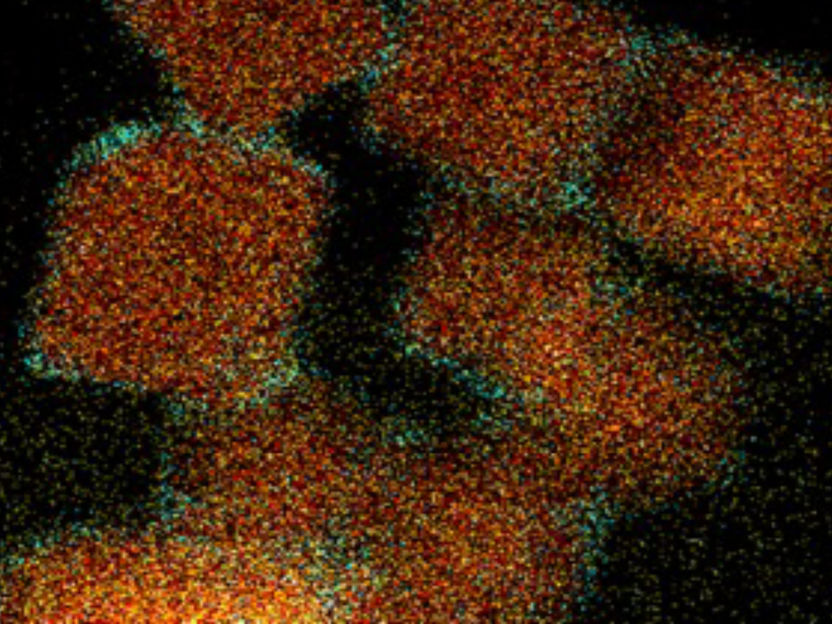 Una investigación innovadora desvela nuevas vías para producir etanol a partir de CO2 - El descubrimiento representa un importante paso adelante en la búsqueda de soluciones energéticas sostenibles
