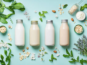 Neue DGE-Position zu pflanzlichen Milchalternativen: ProVeg nimmt Stellung