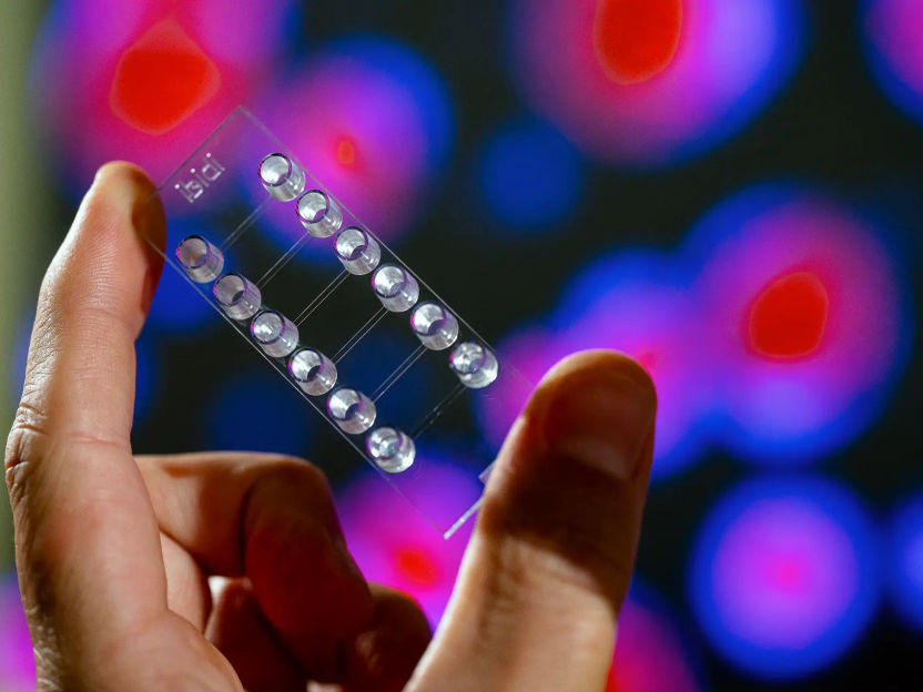 Synthetic mini-motor with enormous power developed: Hope for use in the organism - Bacteria as a role model: Conversion of chemical energy into rotational energy at the supramolecular level for the first time