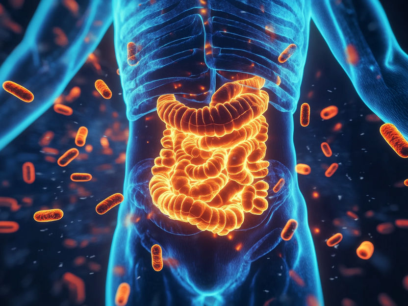 Gut microbiome influences location of immune cells - Microbial communities shape the immune system