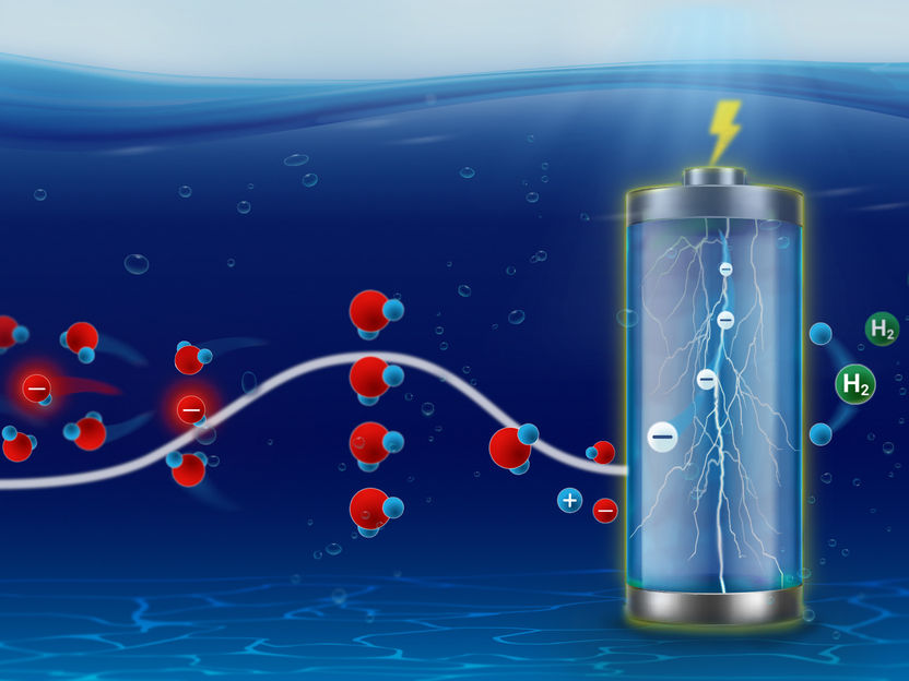 Wenn Ionen zum Katalysator wandern: Neue Einblicke in die Solvatationskinetik an Oberflächen - Entscheidend für die Entwicklung effizienterer Batterien, Elektrokatalysatoren oder zur Verhinderung von Korrosion