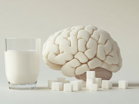 ¿Es mejor menos azúcar para nuestro cerebro?