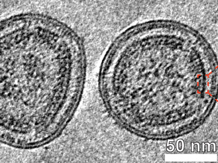 A Viral Close-Up of a Distinct Virus Related to HIV
