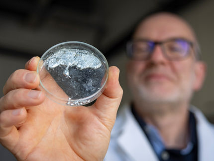 „Gezähmte“ Moleküle für nachhaltigere Katalysatoren