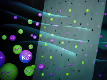 MPI für Polymerforschung
