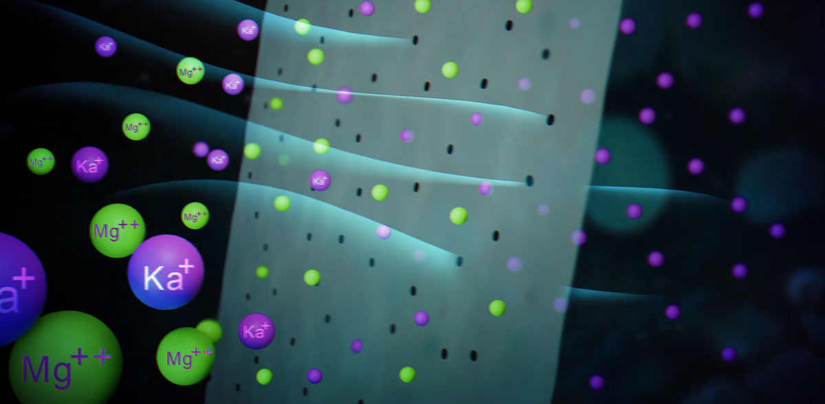 © Max-Planck-Institut für Polymerforschung