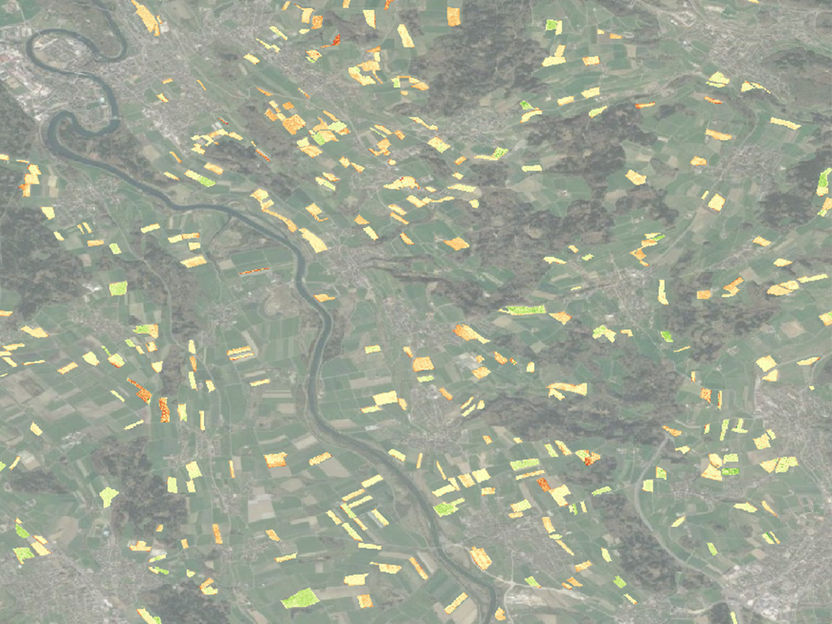 Screenshot: Terensis GmbH