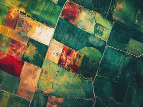 Precise harvest forecasts from space