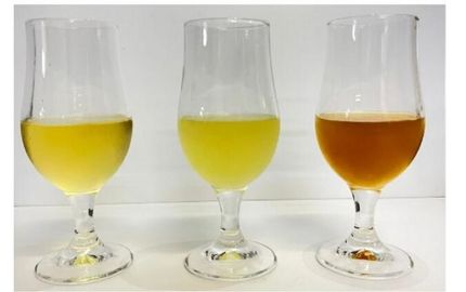 Fruchtsaft bietet eine neue Variante von Kombucha