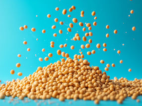 Making soybeans smarter