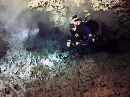 Un crustáceo venenoso de las cuevas submarinas mayas proporciona nuevos candidatos a fármacos