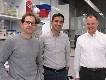 Une approche innovante pour traiter les troubles du spectre autistique