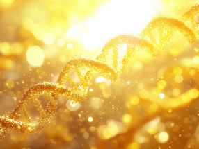 Medizinnobelpreis für Entdeckung der microRNA