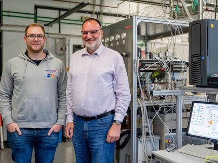 New Insights into Ammonia Decomposition