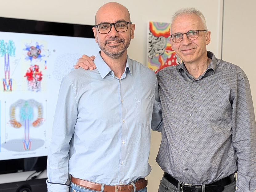 Los científicos descifran el veneno de la araña viuda negra - Simulaciones crio-EM y MD desvelan el mecanismo de la potente neurotoxina α-latrotoxina en la formación de poros de membrana permeables al calcio