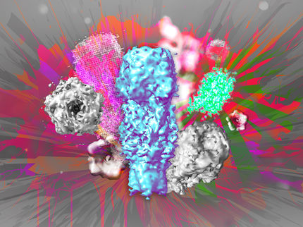 ONE-Mikroskopie statt teurer Mikroskope: Mit dem Lichtmikroskop vom Molekül zur 3D-Struktur
