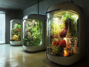 Ferments du Futur: New Innovation Center for Future Foods Opens