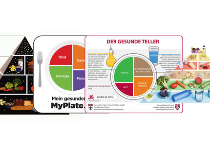 Lebensmittelpyramide wird von Politik, Wirtschaft und Gesellschaft beeinflusst