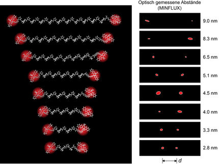 Researchers can measure distances in molecules optically