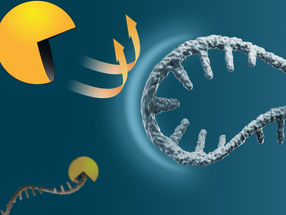 Töte nicht die Boten-RNA!