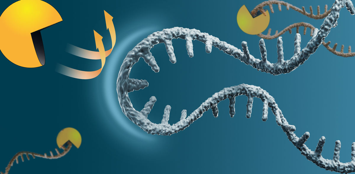 MPI of Molecular Physiology