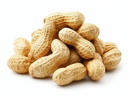 New test improves diagnosis of allergies