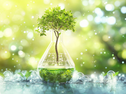 Are trees the future for the production of industrial chemicals?