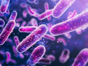 Une astuce chimique qui active l'antibiotique directement sur l'agent pathogène