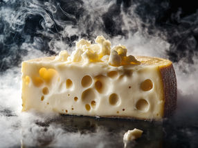 Full-bodied cheese flavor–prediction of flavor development soon possible thanks to new method