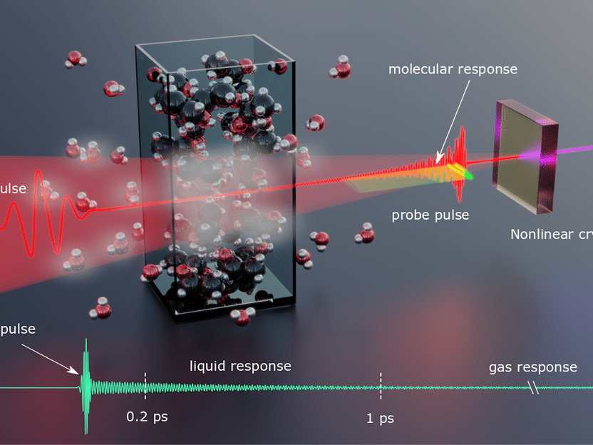 La microscopía de campo en femtosegundos permite obtener las huellas dactilares de las moléculas en el rango espectral del infrarrojo cercano - "Esta investigación... tiene aplicaciones potenciales en diversos campos, como la química y la biología, donde la detección molecular precisa es esencial"