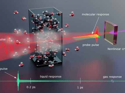 MPI für die Physik des Lichts