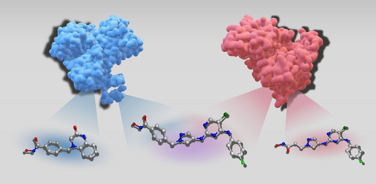 A “chemical ChatGPT” for new medications