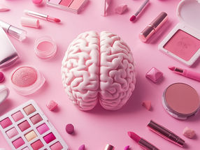 Los plastificantes alteran el funcionamiento normal del cerebro de los vertebrados