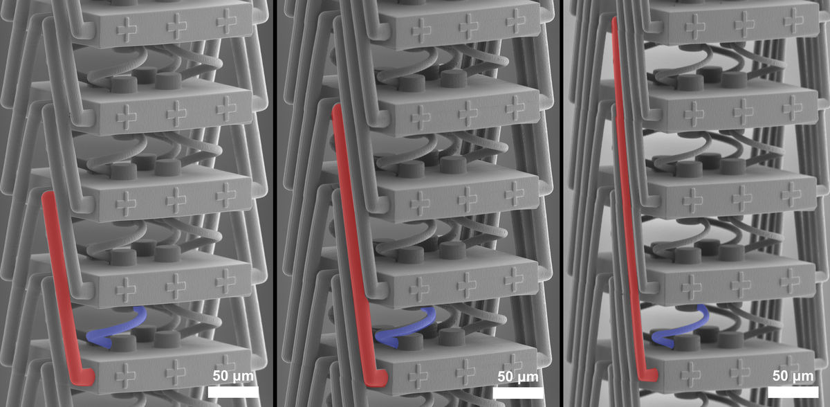 Material mit neuartigen Dehnungseigenschaften entwickelt