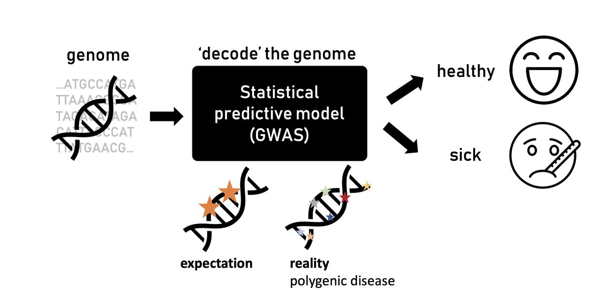 Understanding How Mutations Affect Diseases